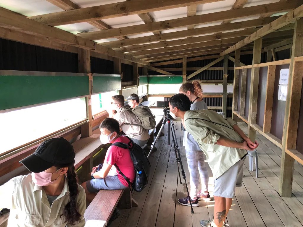 My 2-Weekend-Long Mai Po Eagle Project and Fruitful Birding Quest! (Last Post From Hong Kong)