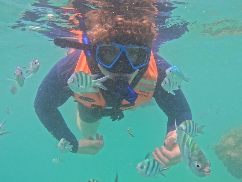 Getaway to Bintan Island, Indonesia&nbsp;(2026)